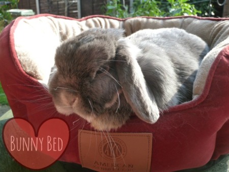 I heart Bunny Bed